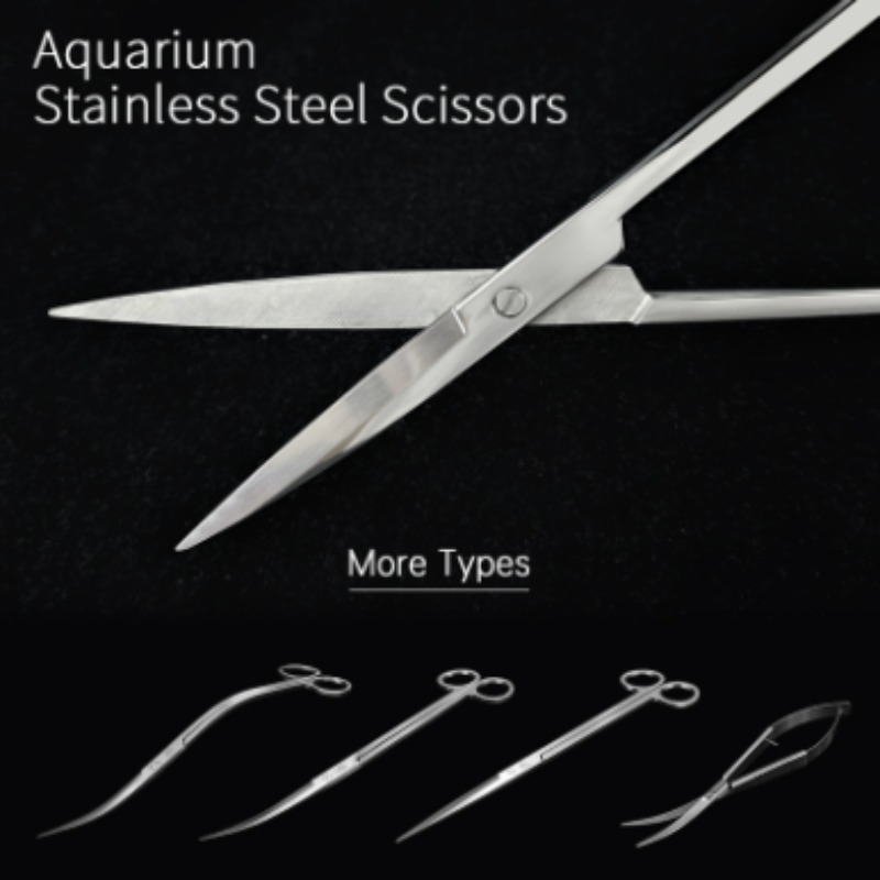 Aquarium Planting Ideas - Week Aqua Stainless Steel Aquatic Plant