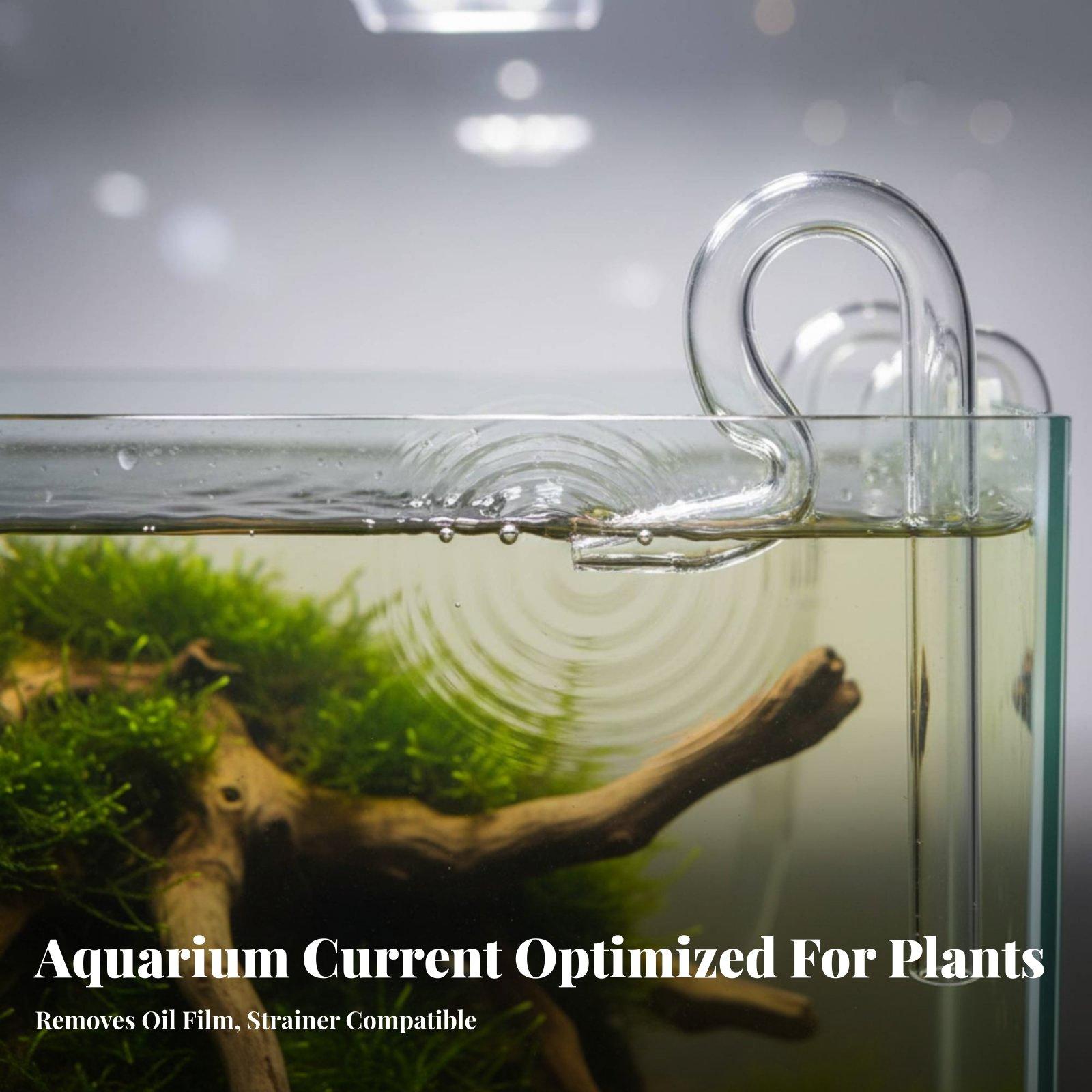 Glass Lily Pipe Aquarium Surfa - Aquarium Lily Pipe 评论和价格