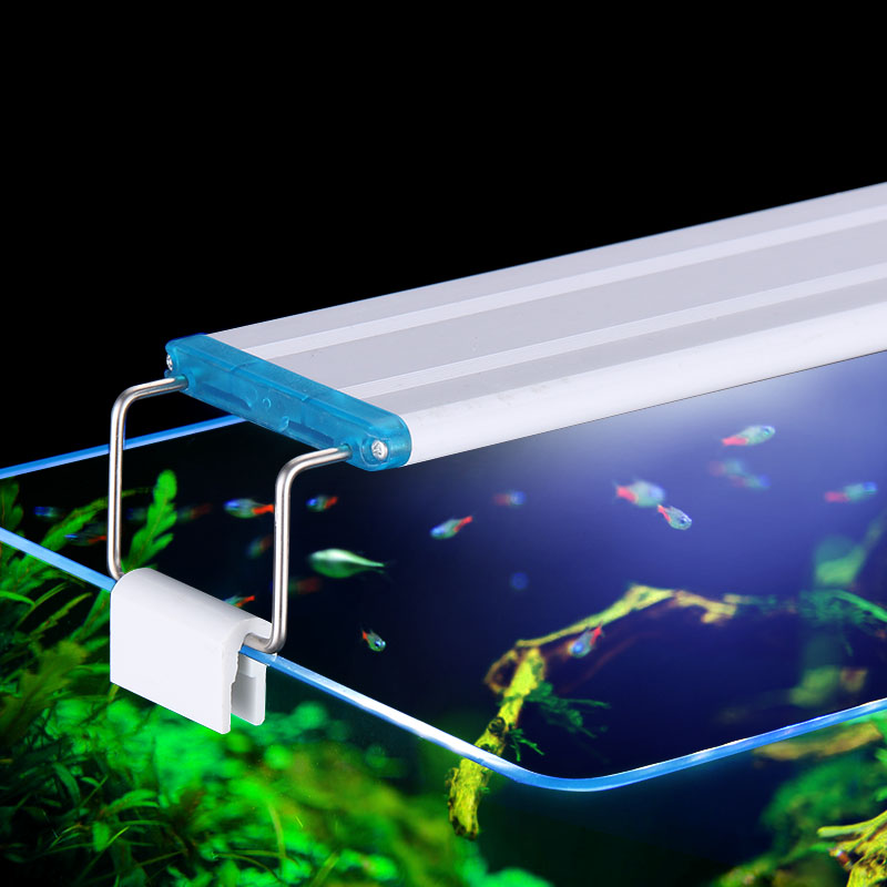 Extensible Waterproof Clip on  - Aquarium Plant Display 评论和价格