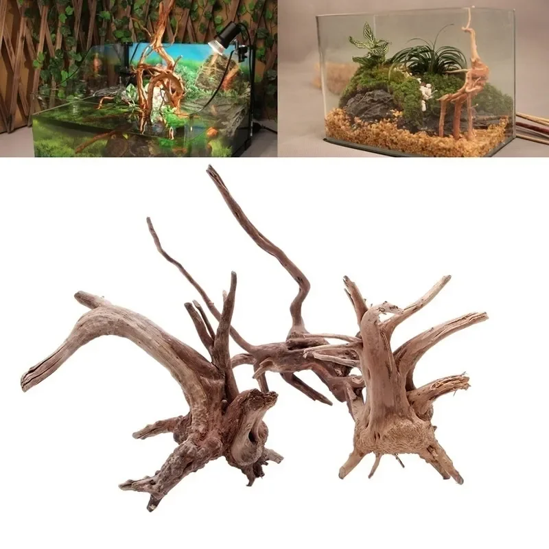 Natural Tree Trunk Driftwood A - Planted Aquarium Media 评论和价格