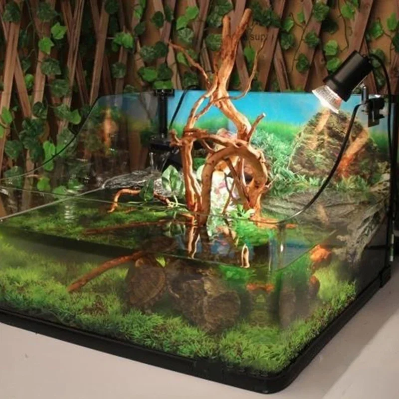 Natural Tree Trunk Driftwood A - Planted Aquarium Media 评论和价格