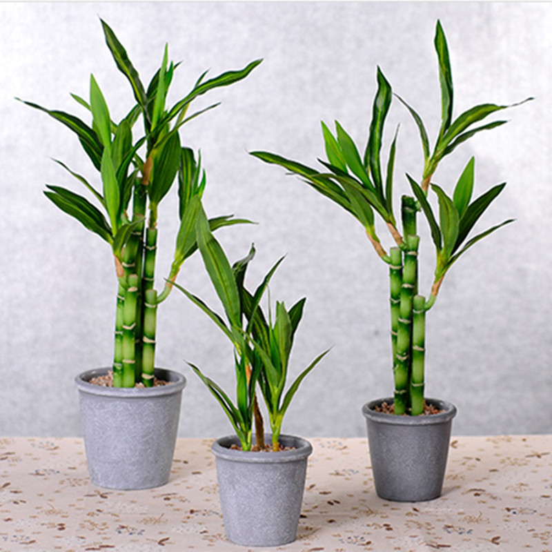 New 40cm Artificial Lucky Bamb - Aquarium Plant Display 评论和价格