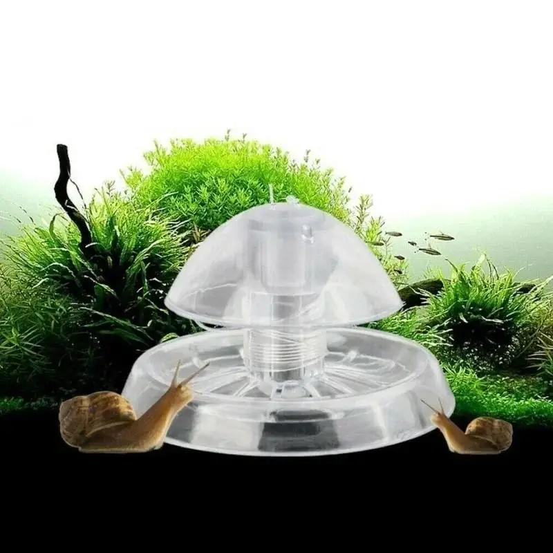 2026 New 6/8CM Clear Plastic S - Aquarium Planting Ideas 评论和价格
