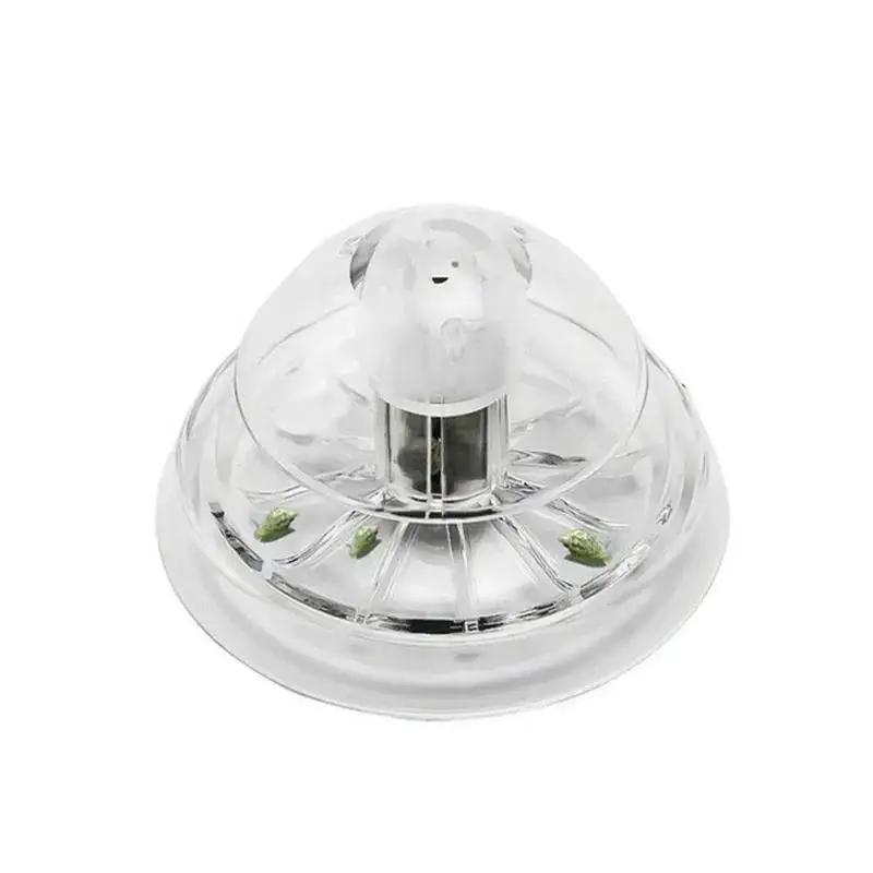 2026 New 6/8CM Clear Plastic S - Aquarium Planting Ideas 评论和价格