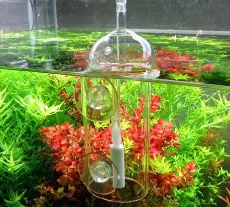 VIV Do Device Aquarium Cylinde - Aquarium Lily Pipe 评论和价格