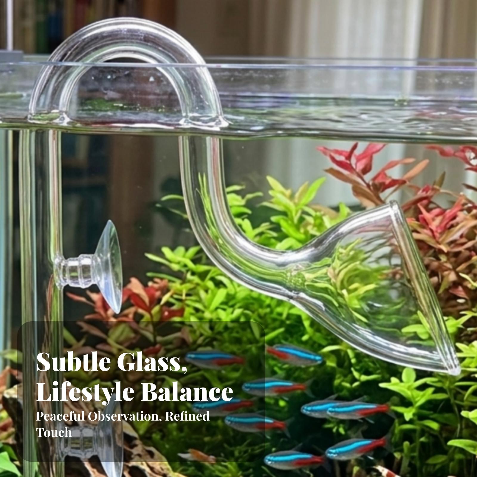 Aquarium Filter Inlet and Outl - Aquarium Lily Pipe 评论和价格