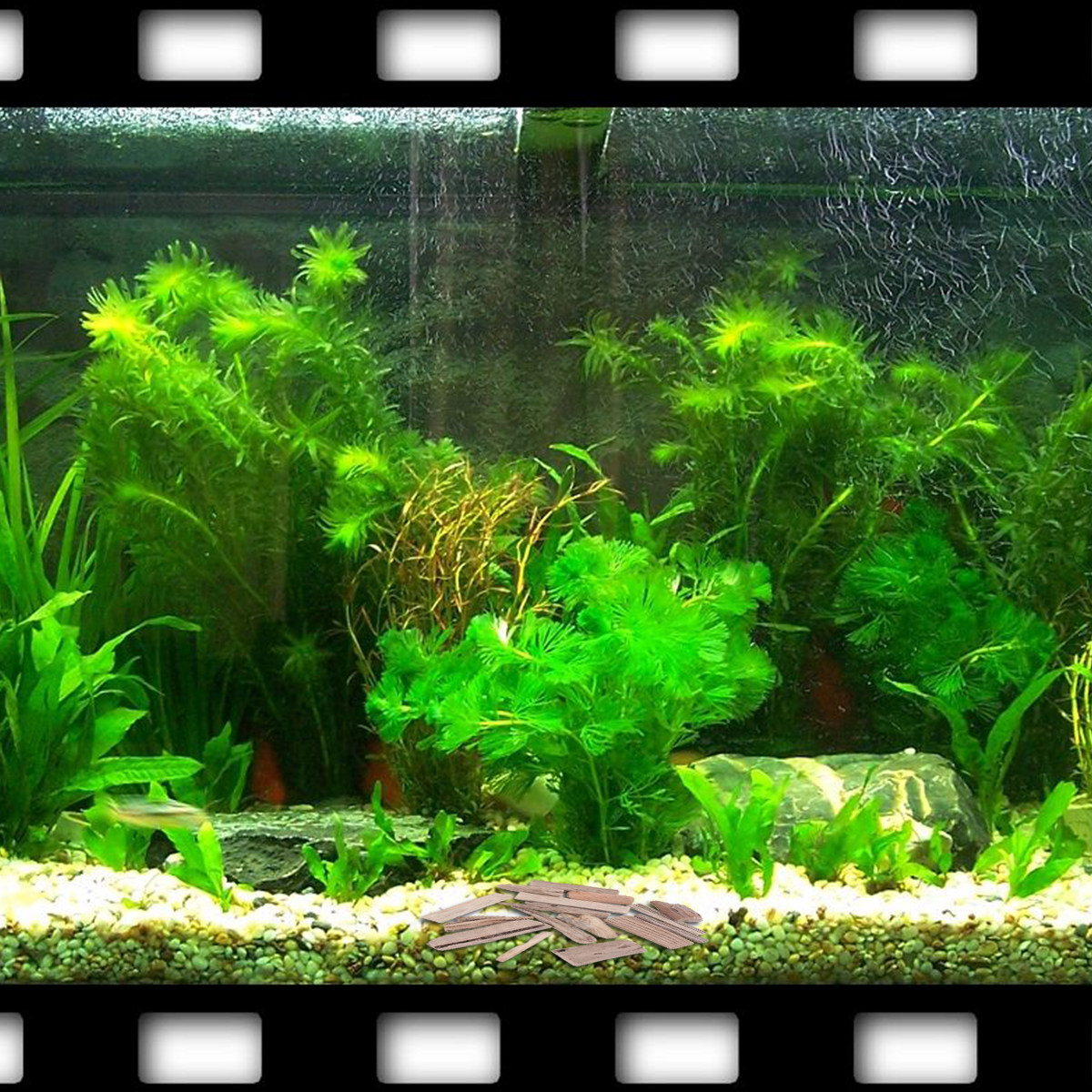 30Pcs Driftwood Fish Tank Deco - Planted Aquarium Ph 评论和价格