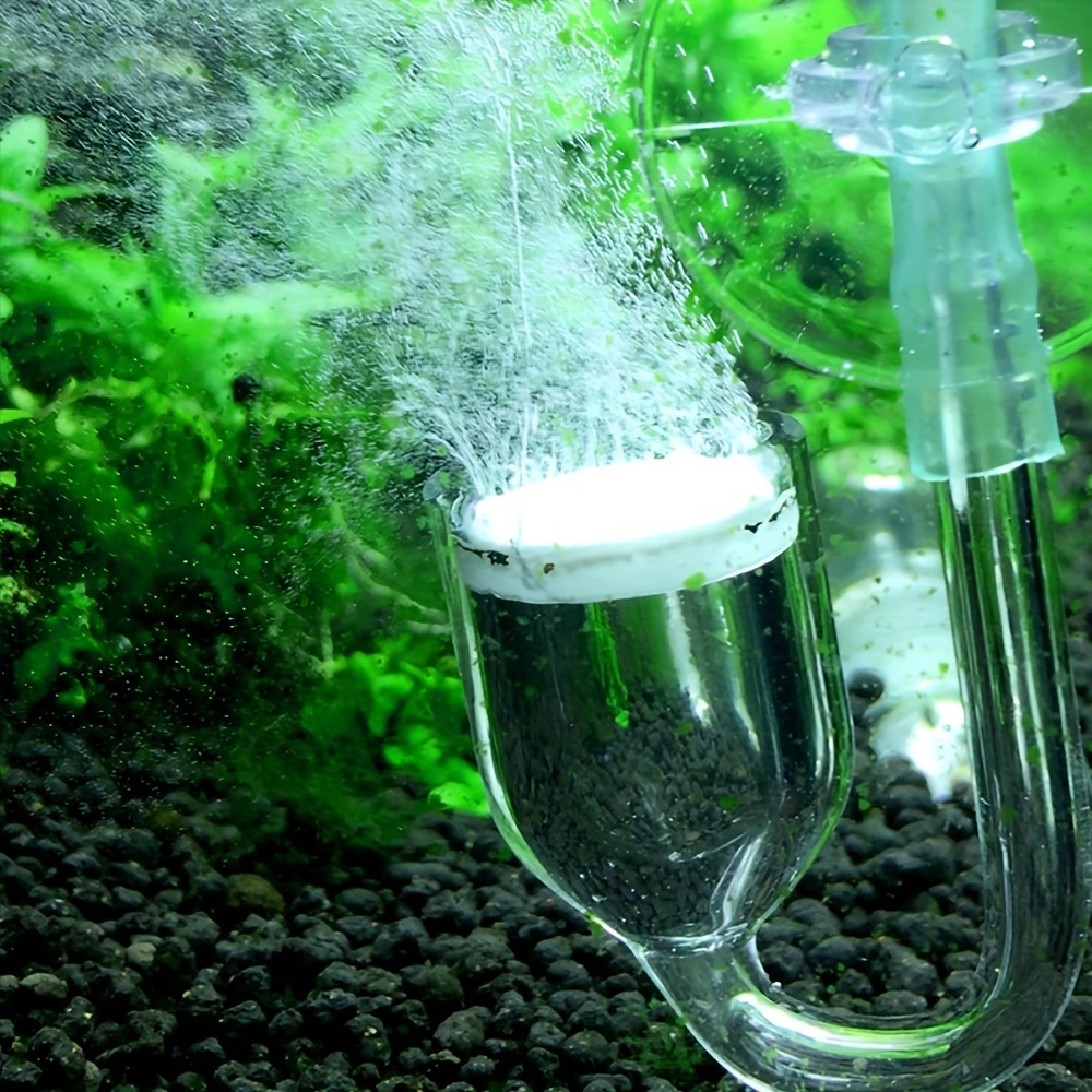 Aquarium Glass CO2 Atomizer Di - Aquarium Planting Ideas 评论和价格