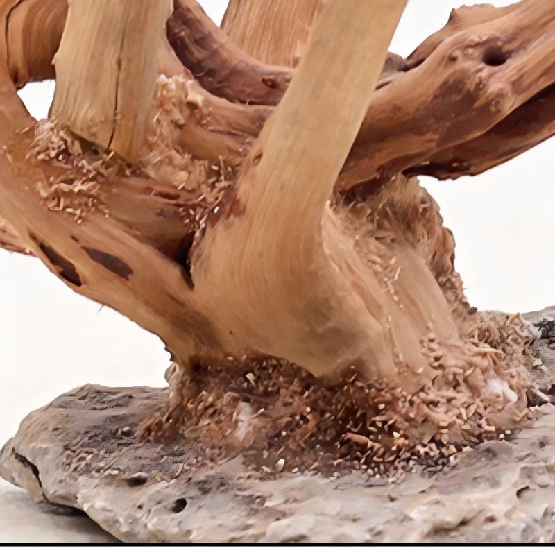 1PC Aquarium Landscaping Wood  - Planted Aquarium Media 评论和价格