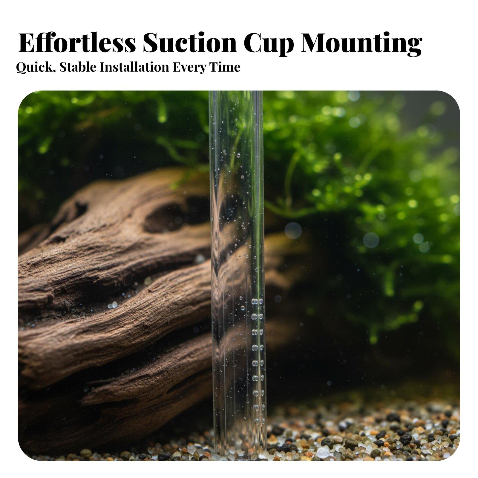 Water Flow Optimized Aquarium  - Aquarium Lily Pipe 评论和价格