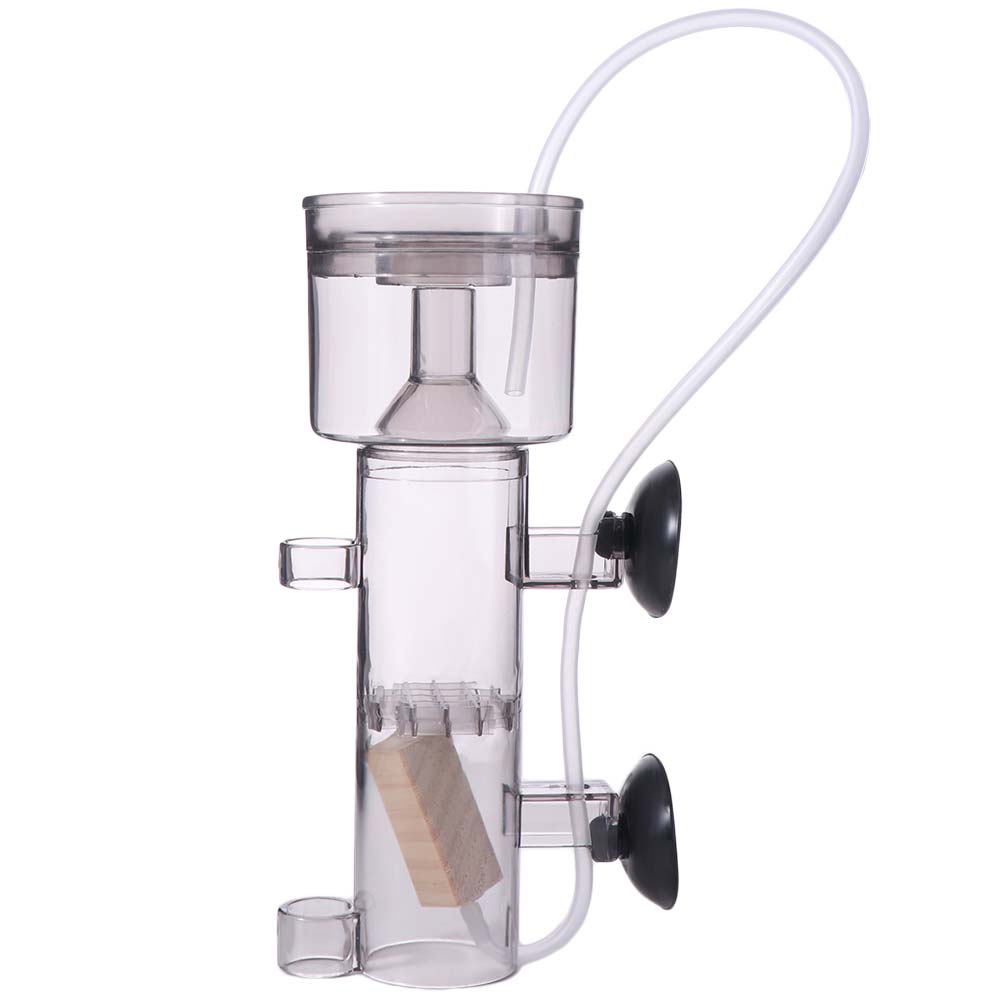 Suction Cup Aquarium Protein S - Aquarium Lily Pipe 评论和价格