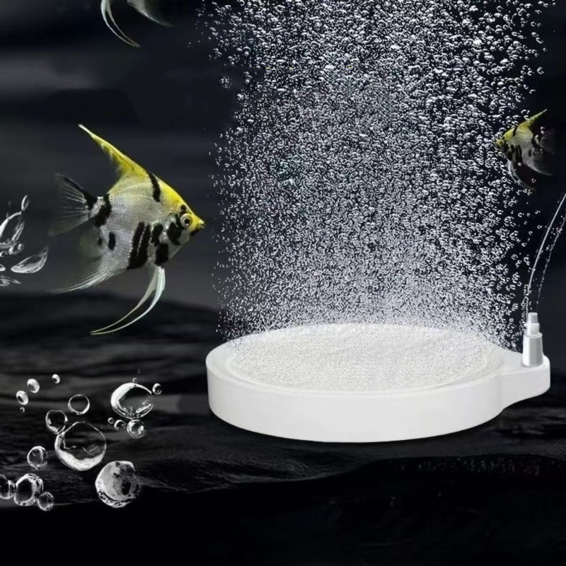 Nano Disc Air Stone Oxygen Aer - Aquarium Lily Pipe 评论和价格